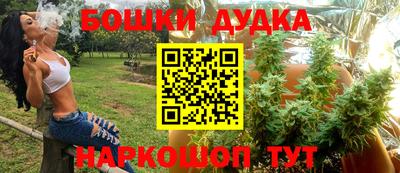 индика Ипатово