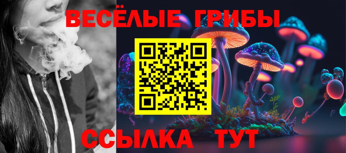 Кузнецк  Галлюциногенные грибы Magic Shrooms  Вход с VPN  Галлюциногенные грибы Cubensis 